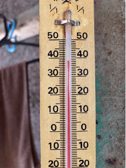 �H��̉��x�v�P