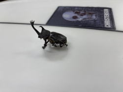 �u���O�@2025��